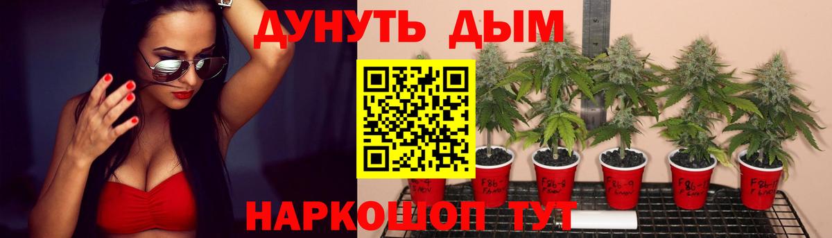 Марихуана марихуана  Вход с VPN  Фролово  Бошки марихуана THC 21% 